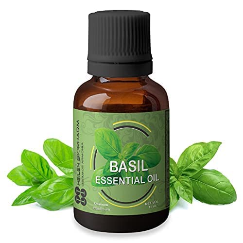 Basil (Holy) Essential Oil
