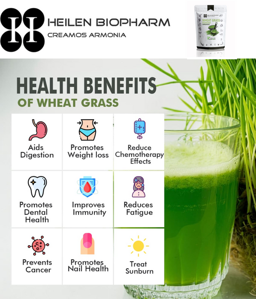 Organic Wheat Grass Powder Gluten Free