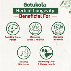 Gotu Kola Powder (Centella asiatica/Mandukaparni) Internal & External Purpose