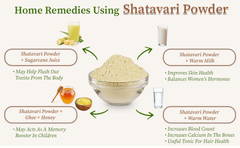Shatavari Powder (Asparagus Racemosus) Buttermilk Root/Satamuli