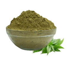 Kalmegh Herbal Powder (Andrographis Paniculata) Kariyatu/Green chirayta/Bhunimbh