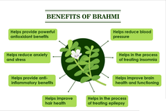 Brahmi Powder (Bacopa Monnieri) Pure Fresh & Natural Internal & External Purpose