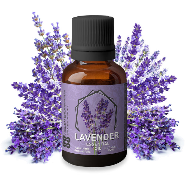Lavender (Lavandula angustifolia) Essential Oil - Glenn Avenue Soap Company