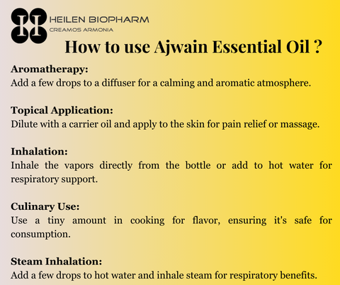 Heilen Biopharm Ajwain/Ajowain/Ajawain/AjwaneFood Grade (Edible) Essential Oil 15 ml