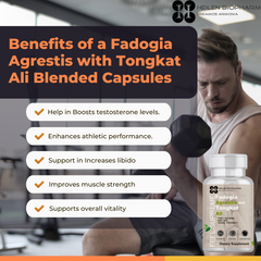 Fadogia Agrestis with Tongkat Ali Blended 90 Capsules Pack of 1