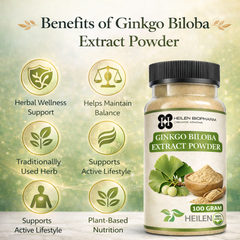 Heilen Biopharm Ginkgo Biloba Extract Powder | For Energy, Focus & Brain Health | 100% Natural Herbal Supplement