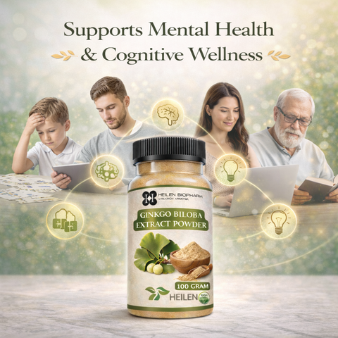 Heilen Biopharm Ginkgo Biloba Extract Powder | For Energy, Focus & Brain Health | 100% Natural Herbal Supplement