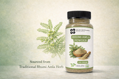 Heilen Biopharm Bhoomi /Bhumi Amla Powder (Phyllanthus Niruri) Promote Digestion, No side Effect