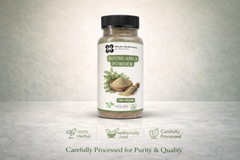 Heilen Biopharm Bhoomi /Bhumi Amla Powder (Phyllanthus Niruri) Promote Digestion, No side Effect