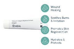 H HEAL Triticum Vulgare Aqueous Extract Cream | 32 g | For Skin Healing, Cuts, Burns & Irritation | Soothing & Moisturizing | Dermatologically Tested