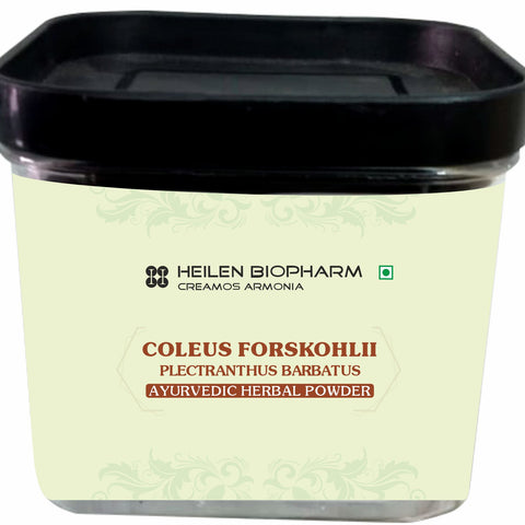 Heilen Biopharm Coleus Forskohlii / Plectranthus barbatus Powder