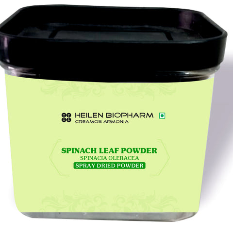 Heilen Biopharm Spinach (Spinacia Oleracea) Spray Dried Leaf Powder