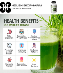 Organic Wheat Grass - Gluten Free Capsules