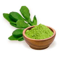 Spinach (Spinacia Oleracea) Spray Dried Leaf Powder