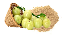 Organic Amla Powder for Face, Skin & Hair Pack - Indian Gooseberry