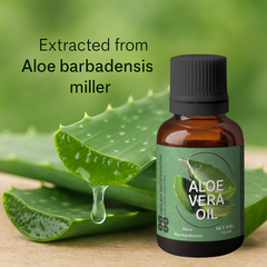Heilen Biopharm Aloe Vera Essential Oil (Aloe barbadensis miller) – 100% Pure & Natural for Hair, Skin & Anti-Aging Care – 15 ml & 50 ml