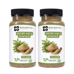 Heilen Biopharm Bhoomi /Bhumi Amla Powder (Phyllanthus Niruri) Promote Digestion, No side Effect