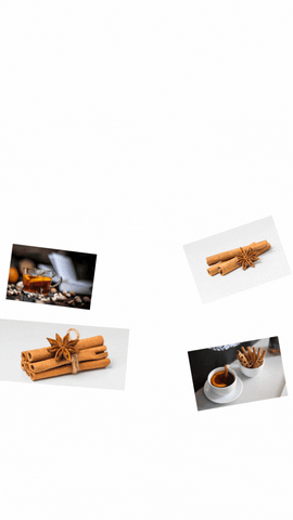 Cinnamon Bark Essential Oil (Cinnamomum verum) Dalchini Antibacterial Astringent