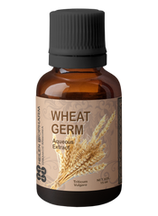 Wheat Germ Aqueous Extract (Triticum Vulgare)