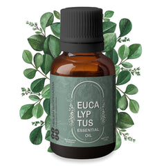 Eucalyptus Essential Oil (Eucalyptus Globulus) Nilgiri Essential Oil