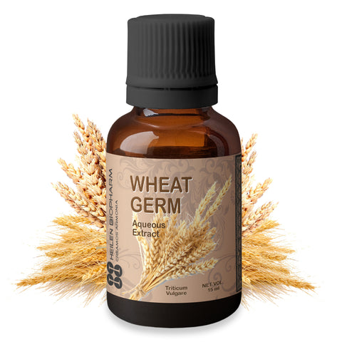 Wheat Germ Aqueous Extract (Triticum Vulgare)