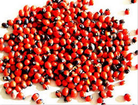 Gunja Herbal Seed Powder (Abrus precatorius)