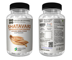 Shatavari Extract Powder (Asparagus Racemosus) Buttermilk Root/Satamuli Powder & Capsules