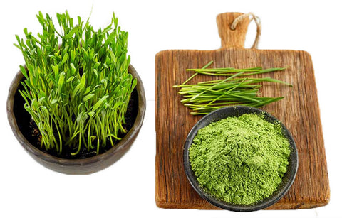 Organic Wheat Grass Powder - Gluten Free!!!!!