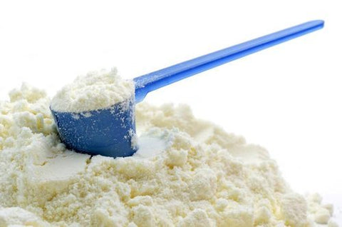 Curd / Yogurt Spray Dried Powder